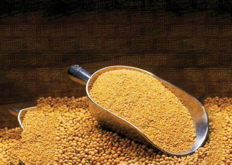 تراجع مبيعات كسب فول الصويا الأسبوعية في الولايات المتحدة