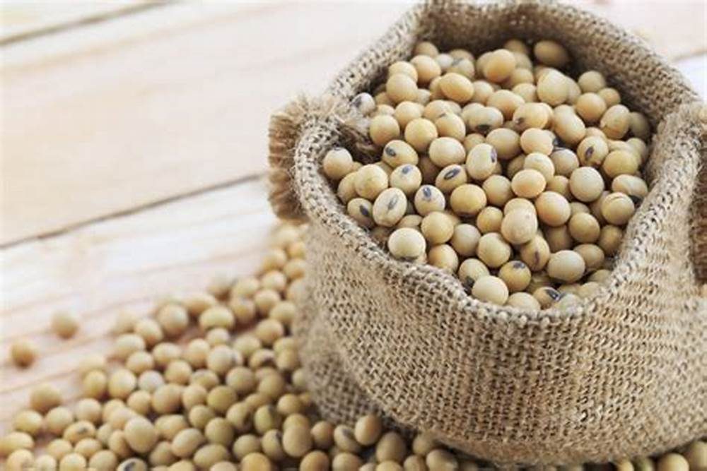 مبيعات فول الصويا الأمريكية تسجل 336.3 ألف طن خلال الأسبوع