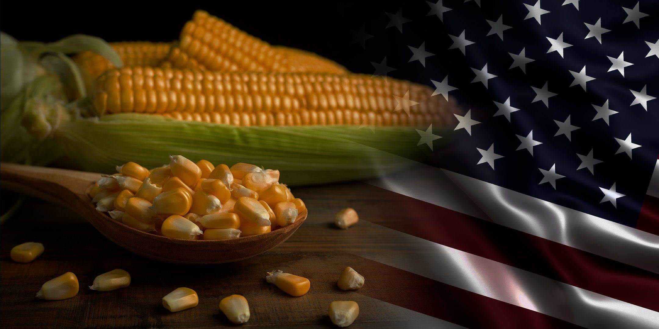 الزراعة الأمريكية: الولايات المتحدة تبيع 1.68 مليون طن من الذرة خلال أسبوع