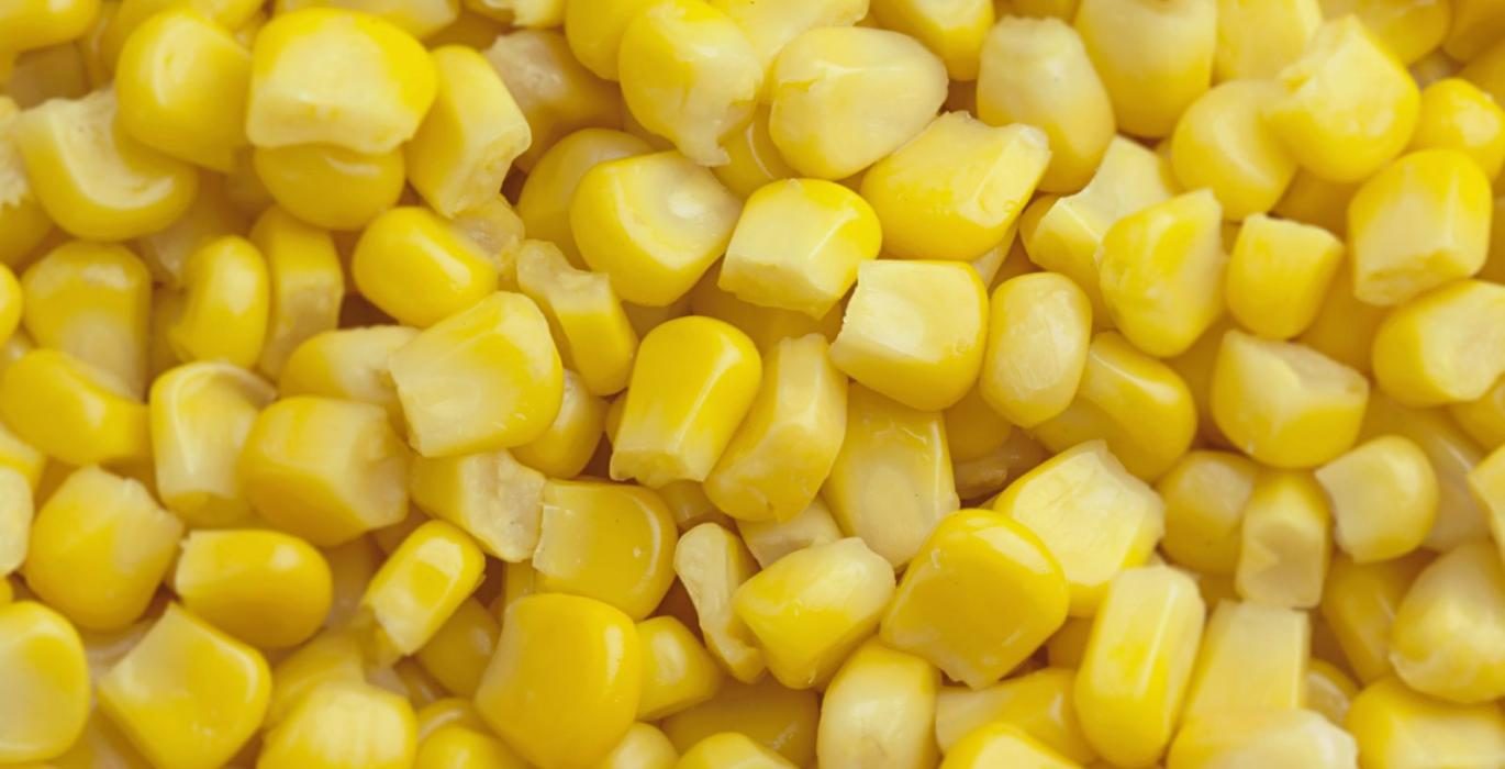 العقود الآجلة للذرة تغلق مرتفعة بنهاية جلسة الأربعاء