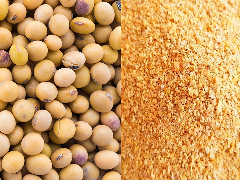 مبيعات كسب فول الصويا