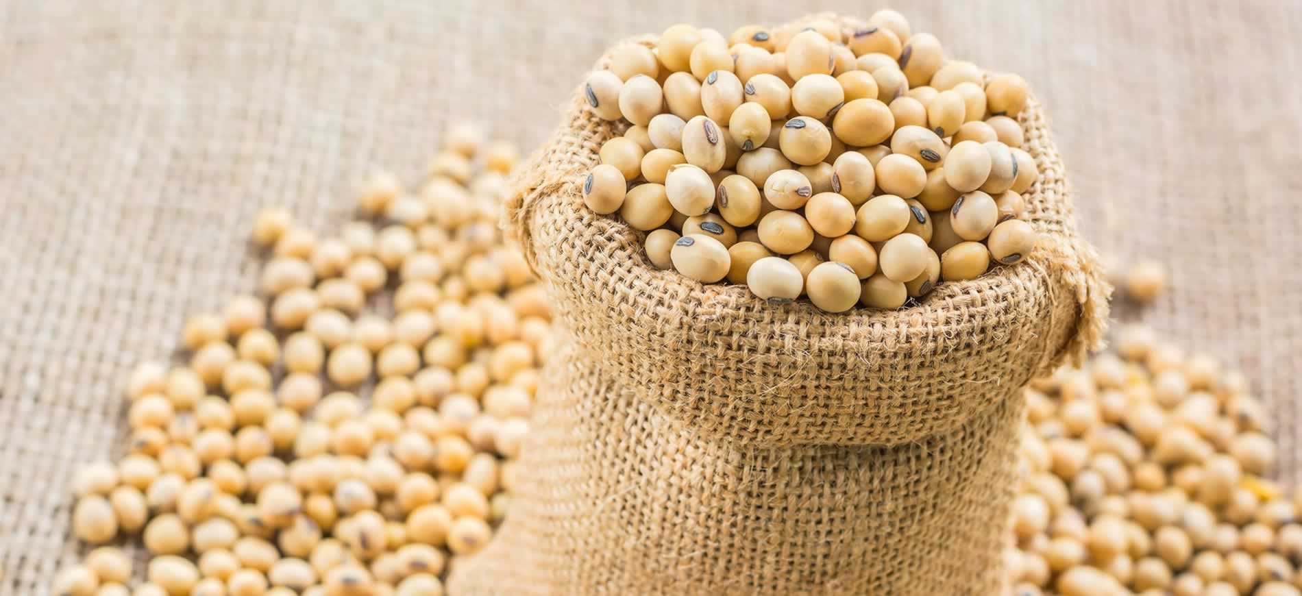 منتجو فول الصويا في الأرجنتين ينتظرون ارتفاع الأسعار لبيع محصولهم الذي تضرر بسبب الأمطار