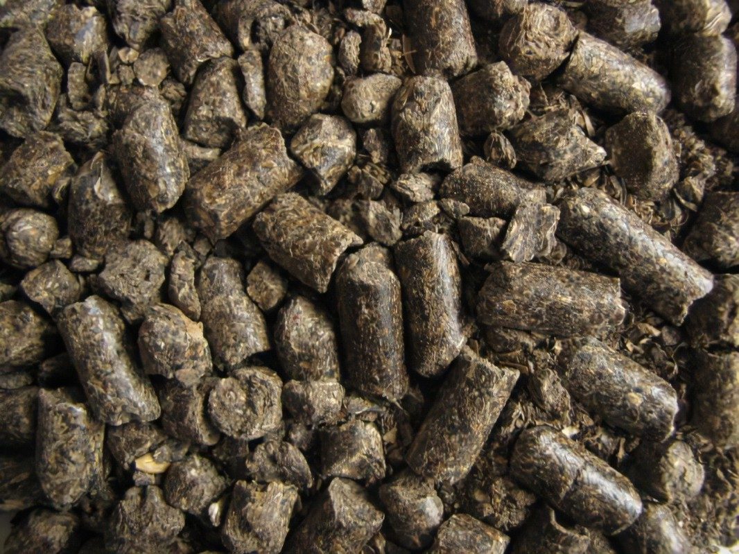 أوكرانيا تزيد صادراتها من كسب عباد الشمس بأكثر من 40%