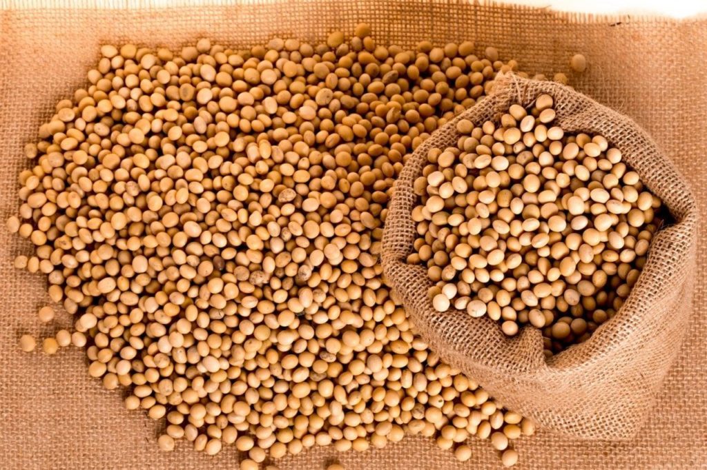 الصين تواصل زيادة وارداتها من فول الصويا البرازيلي رغم استئناف الواردات الأمريكية