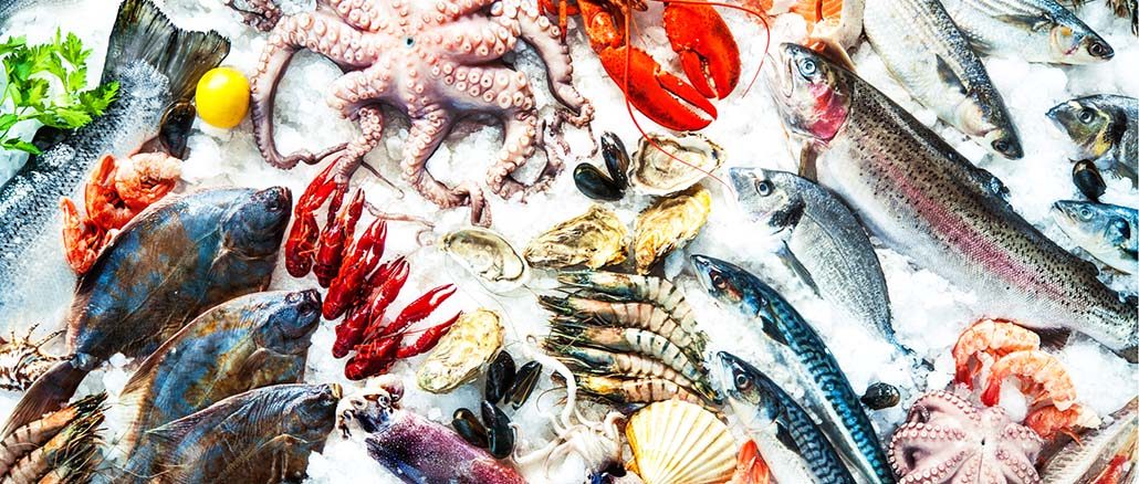 صادرات النرويج من المأكولات البحرية تسجل مليار جنيه إسترليني في يناير