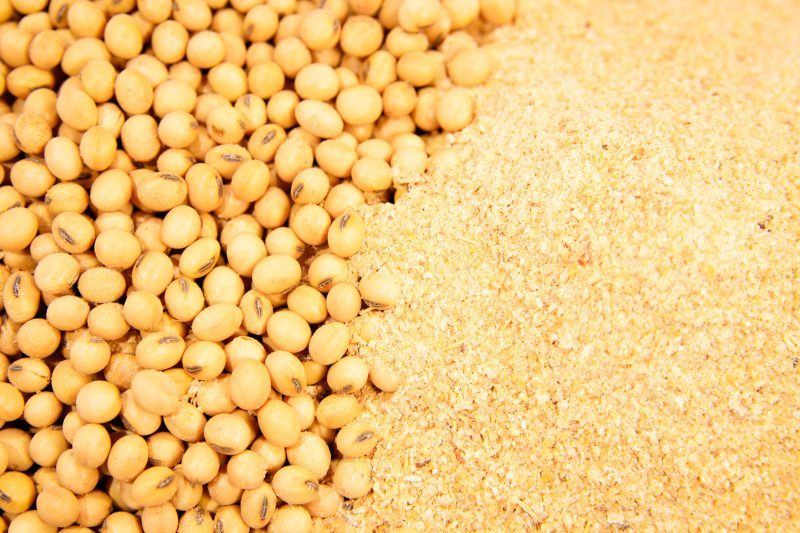 الزراعة الأمريكية: بيع 12700 طن كسب فول الصويا من حصاد 2022/23