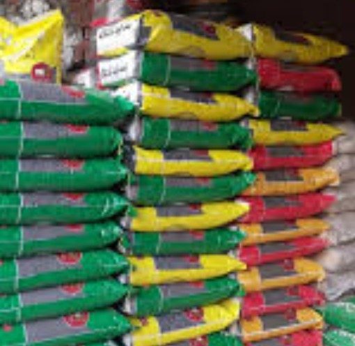 أسعار الأعلاف اليوم 12 فبراير 2023