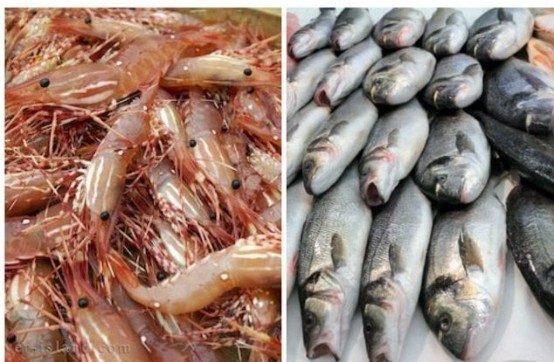 أسعار السمك اليوم الإثنين 6 مارس 2023