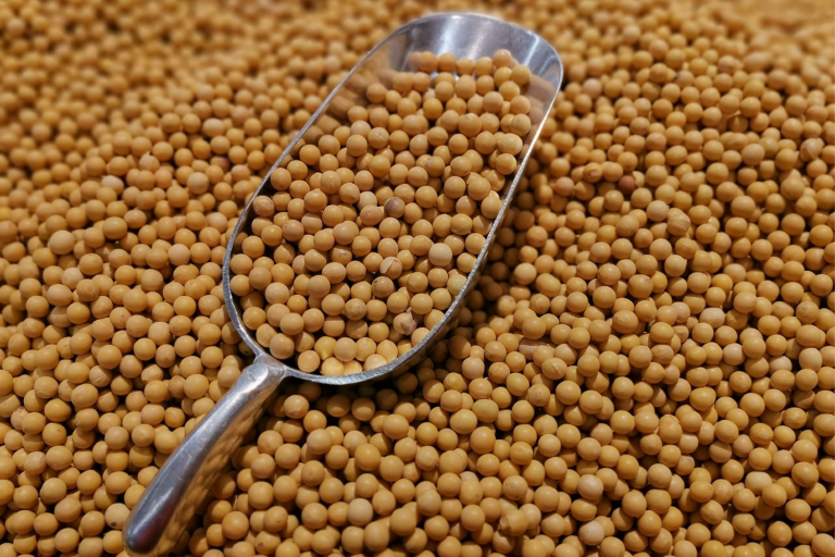 اليابان تدرس امتيازات فول الصويا والأرز في محادثات التعريفة الجمركية الأمريكية