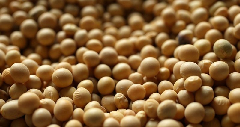 انخفاض واردات الاتحاد الأوروبي من فول الصويا إلى 4 مليون طن في 2023