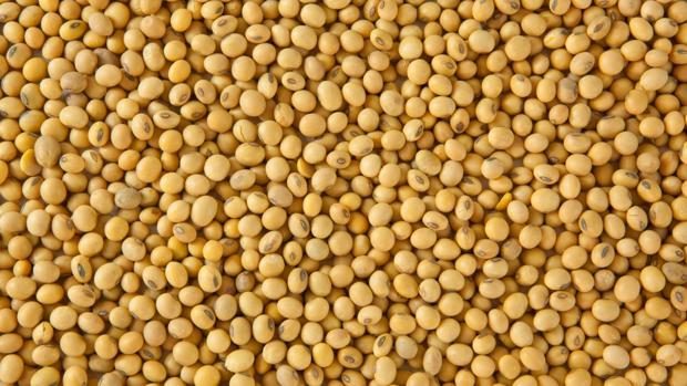 APK-Inform ترفع توقعاتها لصادرات أوكرانيا فول الصويا في موسم 2023/24