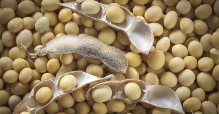 عمليات التفتيش على صادرات فول الصويا الأمريكية تتضمن توقعات عند 1.41 مليون طن