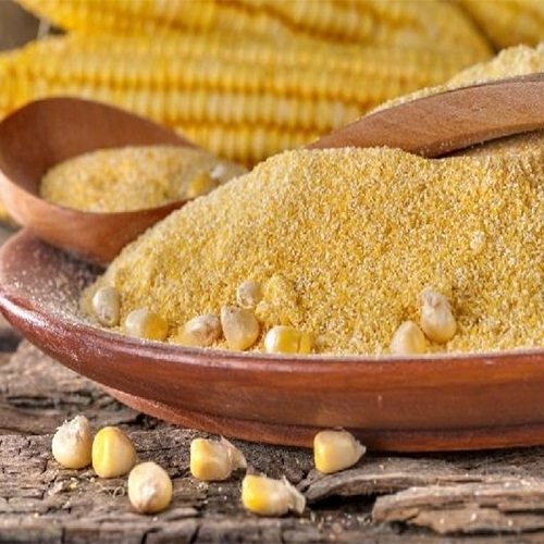 خاص| المنيري يحذر من الجودة الرديئة ويكشف موعد صعود الجيلوتين والجلوتوفيد