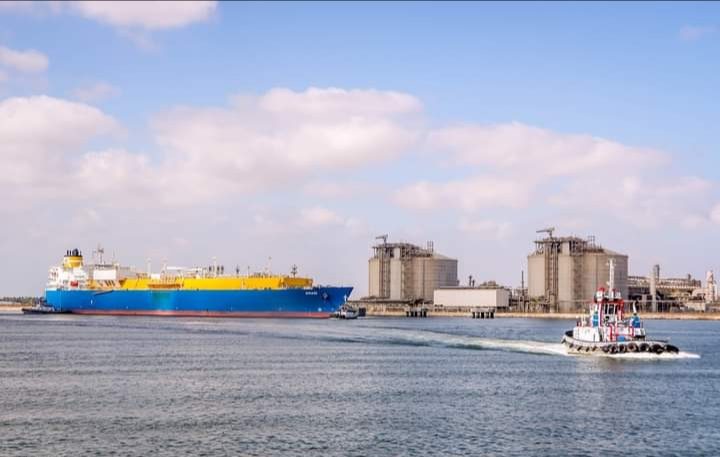 ميناء دمياط يستقبل 3653 طن صويا و 11584 طن ذرة خلال 24 ساعة