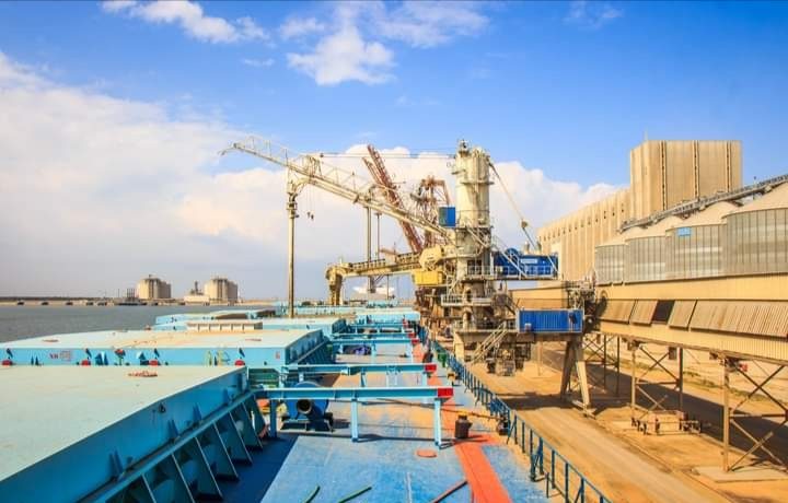 ميناء دمياط يستقبل 5556 طن كسب الصويا و 11525 طن ذرة و 1318 رأس ماشية