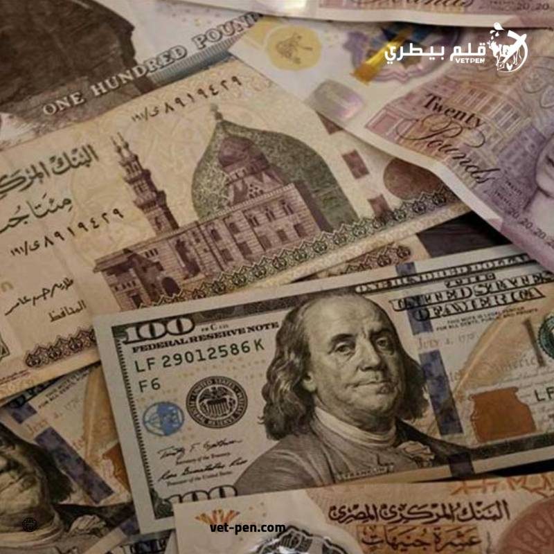 سعر الدولار والعملات العربية والأجنبية اليوم الخميس 10- 10- 2024