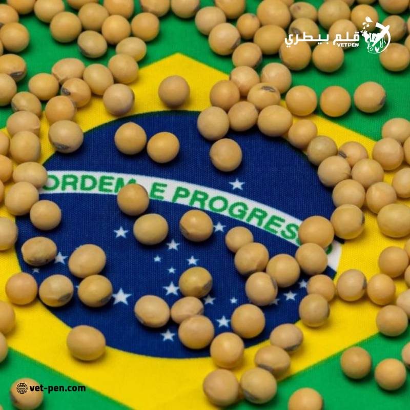 سافراس: إنتاج فول الصويا البرازيلي يرتفع إلى 171.78 مليون طن في 2024-25