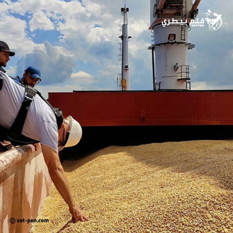 وزارة الزراعة الأمريكية: انخفاض عمليات التفتيش على صادرات الحبوب في الموانئ