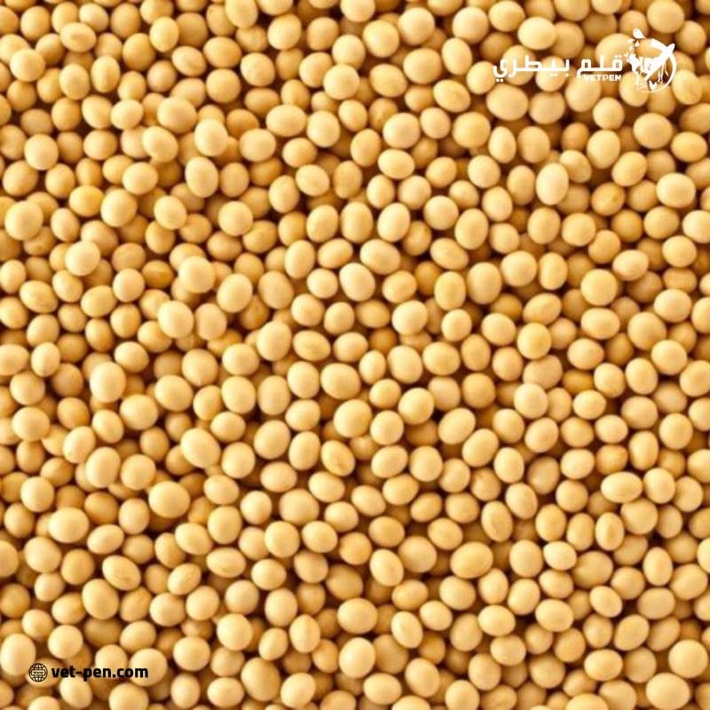 بورصة الحبوب| عقود فول الصويا تختم تعاملات الأربعاء في المنطقة الخضراء