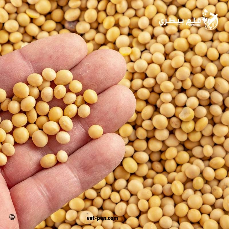 عقود فول الصويا ترتفع بنهاية تعاملات الأربعاء على الرغم من ضعف الزيت