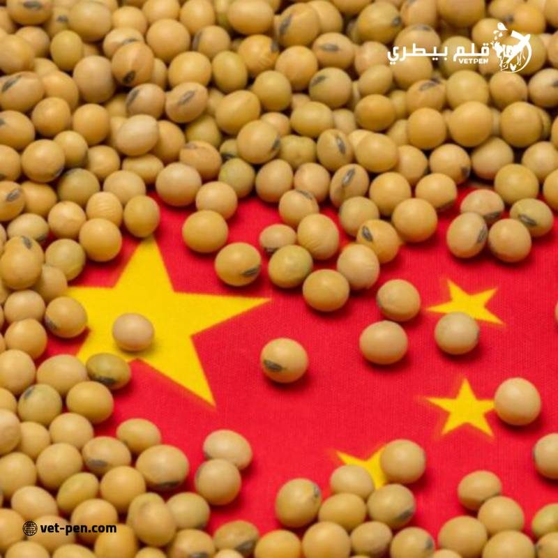 الصين تجري عمليات شراء جديدة لفول الصويا الأمريكي والبرازيلي
