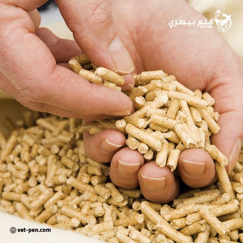 «زراعة الشيوخ» تجتمع اليوم لاستئناف مناقشة التوسع في توطين صناعة الأعلاف بمصر