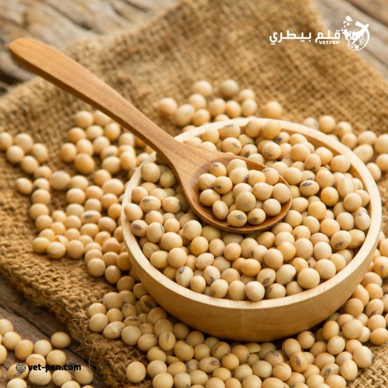 مبيعات جديدة من فول الصويا الأمريكي قدرها 100 ألف طن إلى الصين