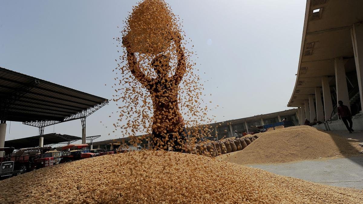 ارتفاع مخزونات الحبوب العالمية بنسبة 3.7% بحلول نهاية مواسم عام 2026