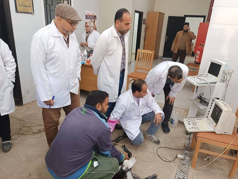 الرعاية البيطرية