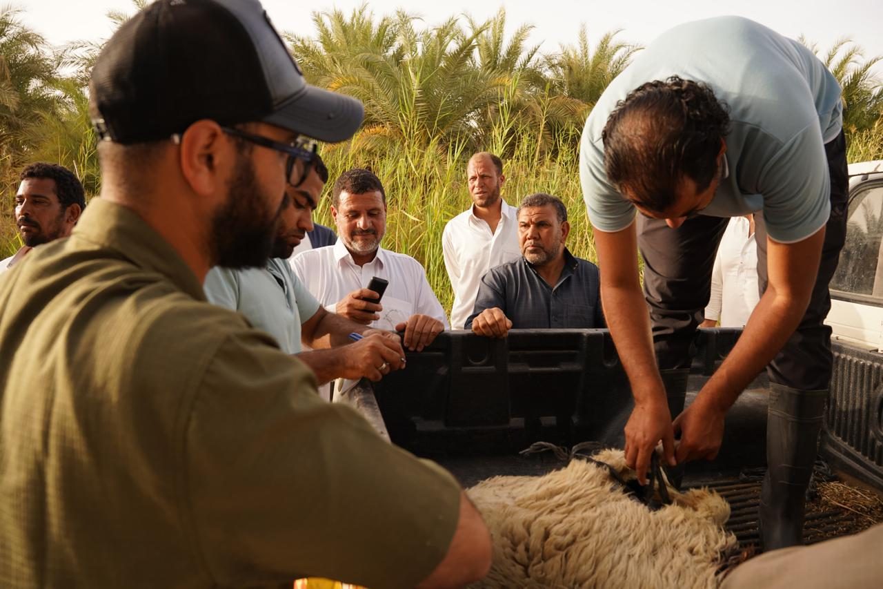 الزراعة