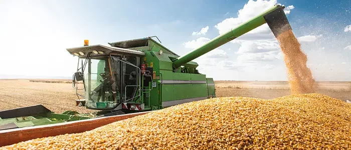 إنتاج الحبوب في البرازيل