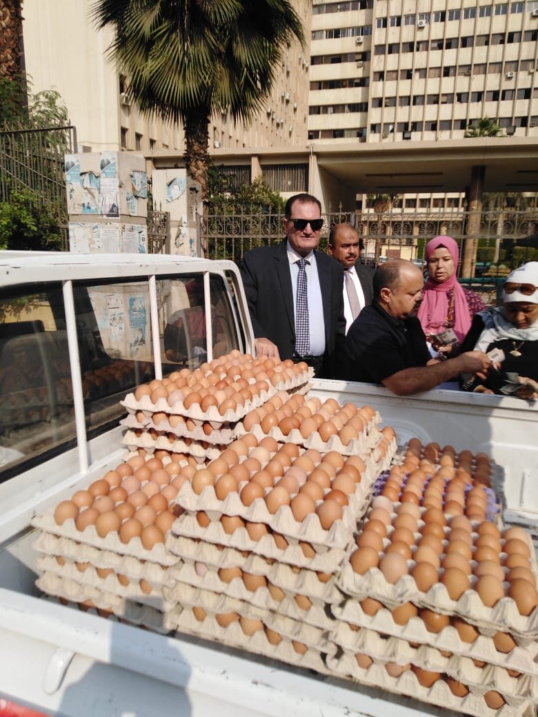 الزراعة تطلق 10 منافذ متحركة في 8 محافظات لبيع بيض المائدة بأسعار مخفضة
