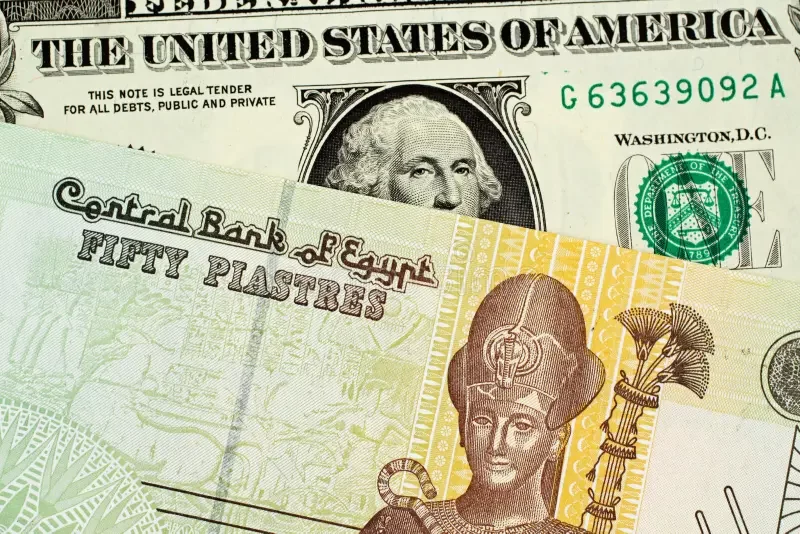 سعر الدولار