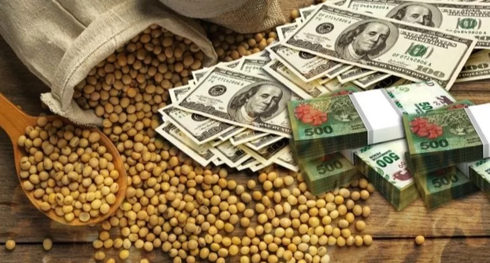 الإعفاء الضريبي على الصادرات الزراعية في الأرجنتين يثير حالة من جنون الشراء