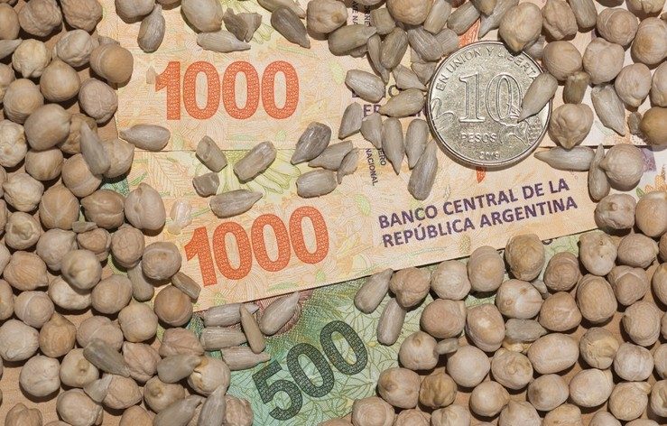 الأرجنتين تعيد فرض رسوم تصدير الحبوب بعد ثلاثة أيام من رفعها