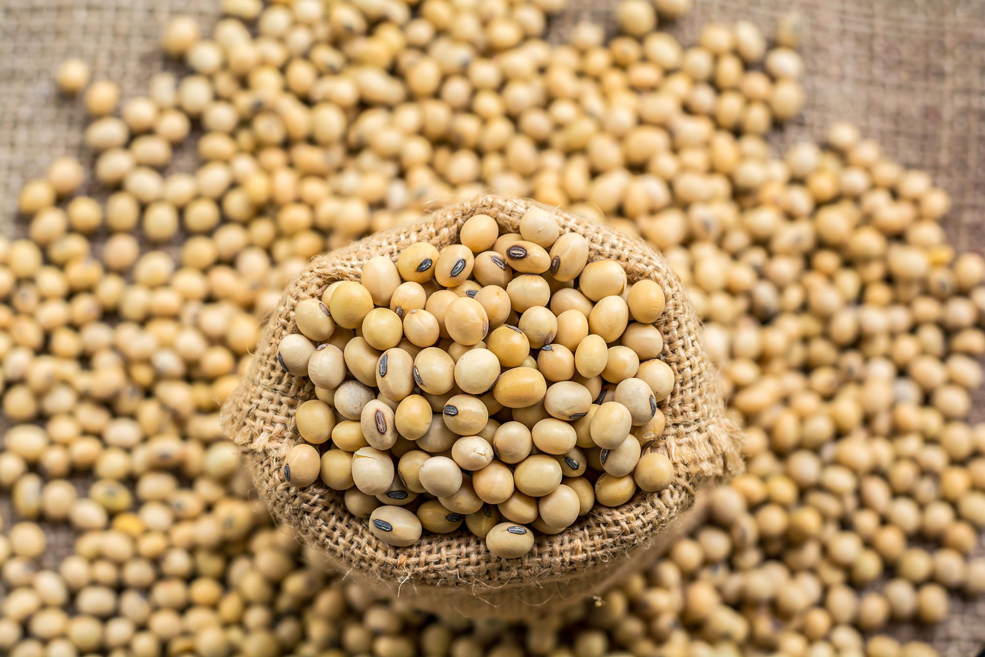 البرازيل ترفع تقديراتها لصادرات فول الصويا إلى 15.13 مليون طن في مارس