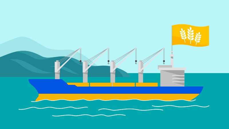 أوكرانيا تصدر 56.7 مليون طن من شحنات الحبوب عبر الممر البحري