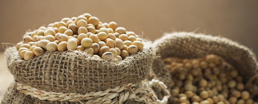 عمليات التفتيش على صادرات فول الصويا الأمريكي ضمن التوقعات عند 435256 طنًا