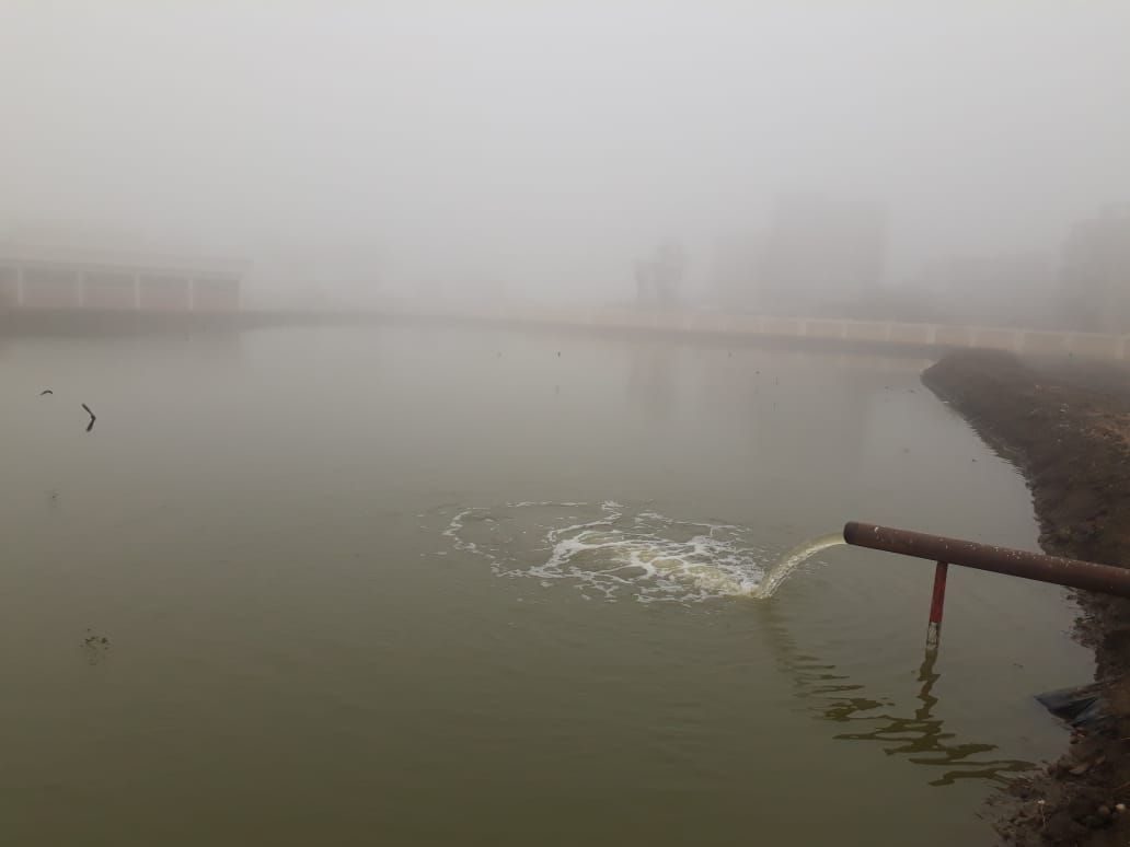 افتتاح أول مزرعة سمكية بمدرسة المنزلة الزراعية في الدقهلية