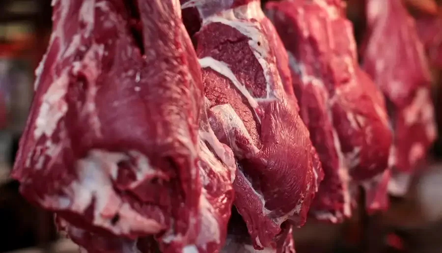 انخفاض أرباح "FriGol" بنسبة 48.9٪ في الربع الثالث إلى 13.108 مليون ريال برازيلي