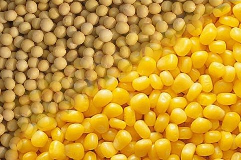 خاص| "برايم جرينز" تكشف الوضع في سوق الخامات خلال الفترة المقبلة