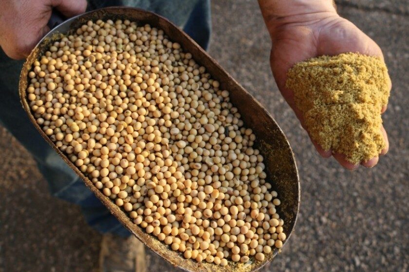 أوكرانيا تستأنفت تصدير كسب الصويا إلى مصر في أغسطس