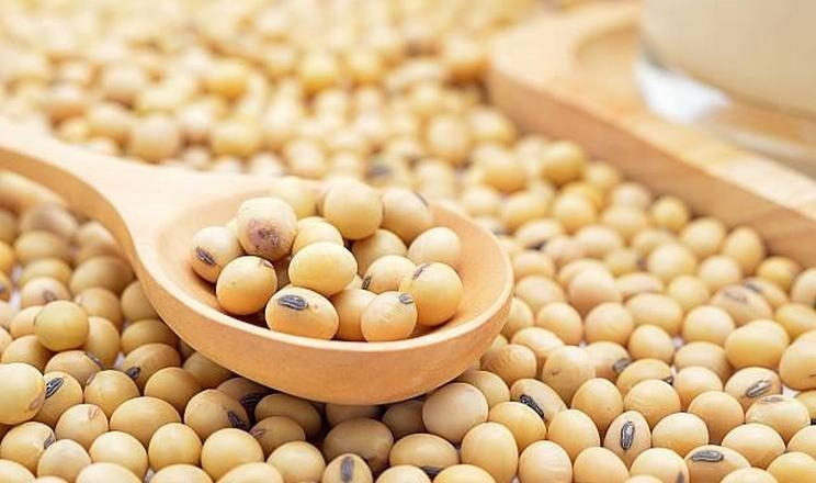 الاتحاد الأوروبي يفرض رسومًا جمركية على فول الصويا الأمريكي اعتبارًا من الأول من ديسمبر