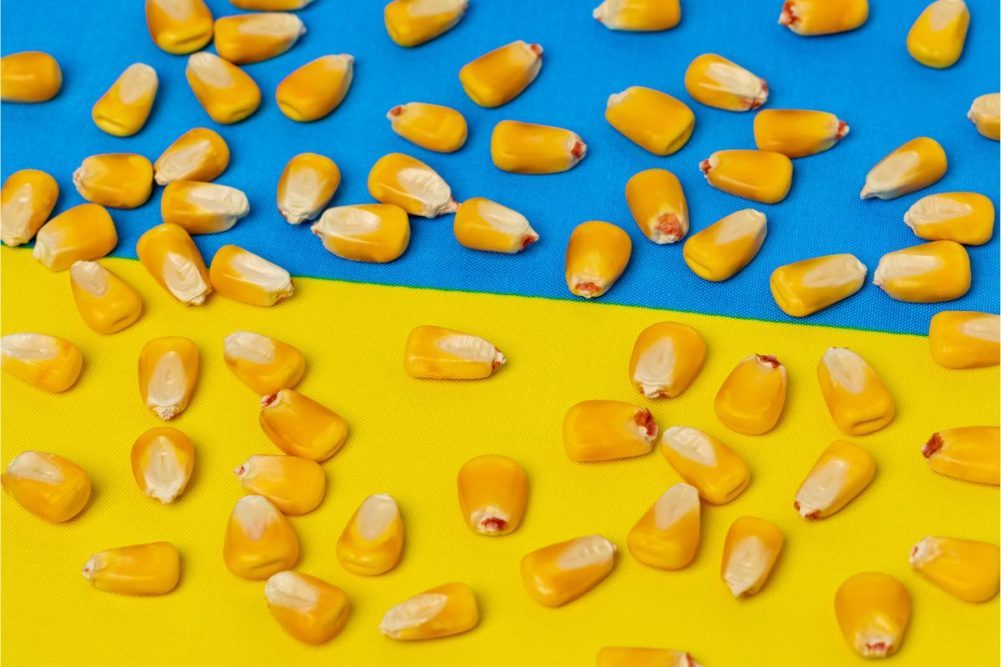 بينهم 16.6 مليون طن ذرة.. أوكرانيا تصدر 31 مليون طن من الحبوب منذ بداية الموسم