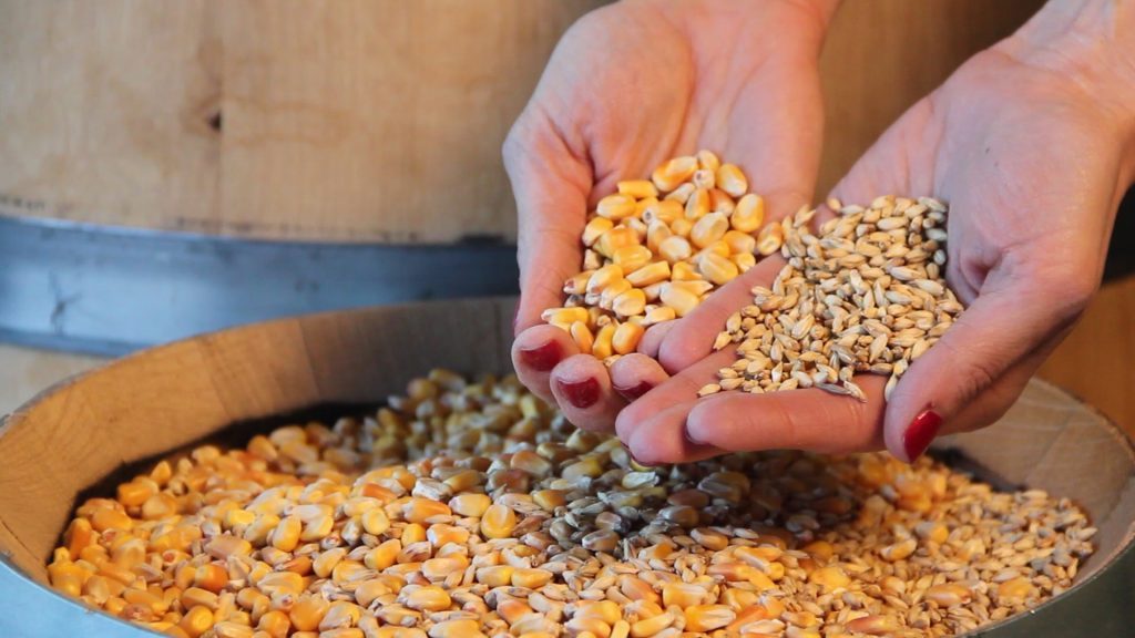 بورصة الحبوب| أداء متباين لعقود القمح في ختام تداولات الثلاثاء.. وارتفاع الذرة وانخفاض فول الصويا