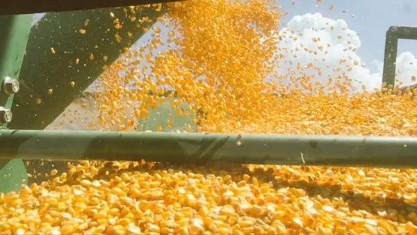 المفوضية الأوروبية توافق على مقترح زيادة الرسوم الجمركية على واردات الحبوب الروسية