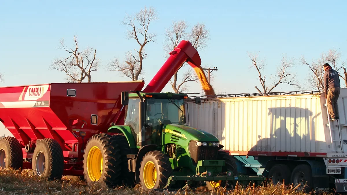 ارتفاع صادرات الولايات المتحدة الأسبوعية من الذرة إلى 251700 طن لموسم 2022/23