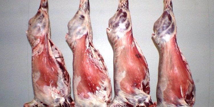 أسعار اللحوم اليوم