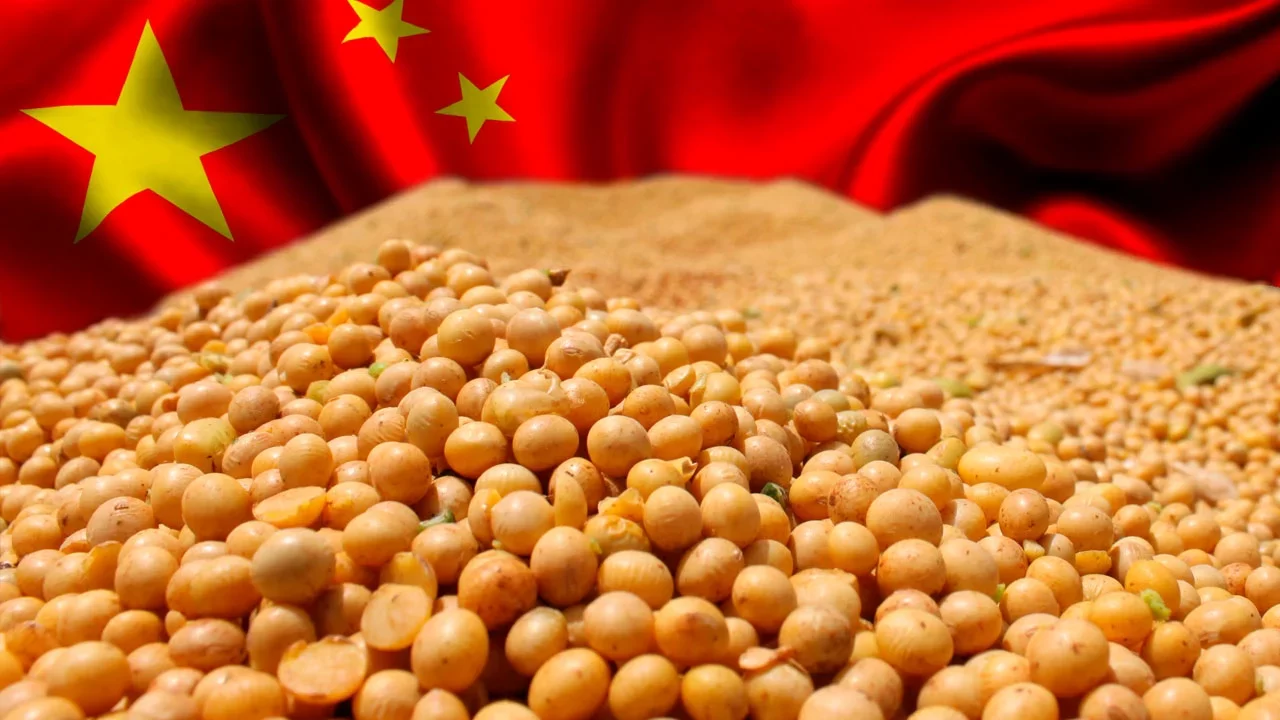 واردات الصين من فول الصويا تسجل 10.22 مليون طن في مايو
