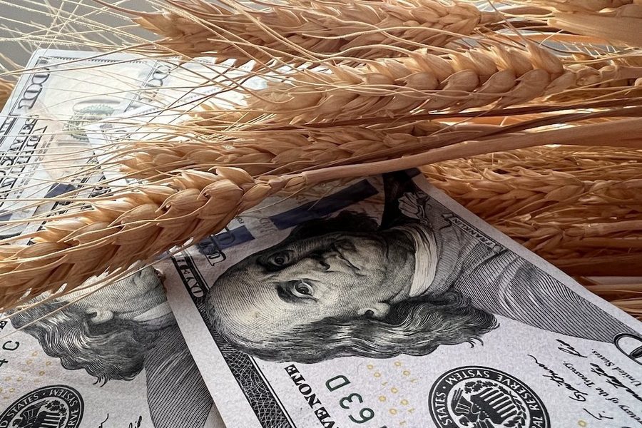 العقود الآجلة للقمح تغلق تعاملات الإثنين على ارتفاع بفعل تصاعد التوترات في منطقة البحر الأسود